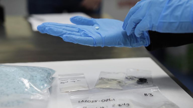 U.S. Justice Department sting singes Hyderabad-based manufacturer of Fentanyl intermediary