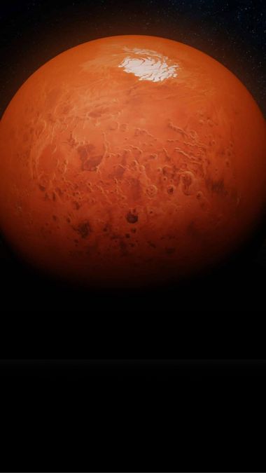 ‘Weird Mars rocks’: NASA’s Perseverance rover uncovers a bizarre mystery on the Red Planet