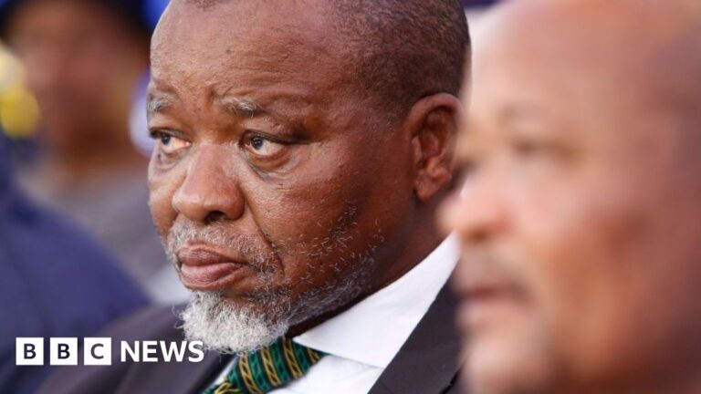 South Africa will defend sovereignty, ANC chair says amid US tensions
