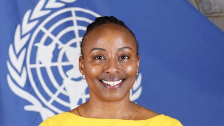 Interview | Community participation and digital innovation vital for universal immunisation: UNDP India chief