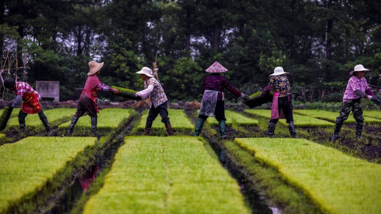 China says it can live without US farm and energy goods
