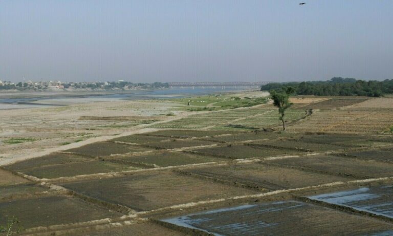 Govt urged to seek US intervention over Indus treaty