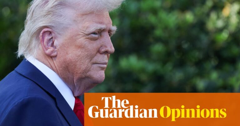 A plea to the West: help us save America’s democracy | Anonymous