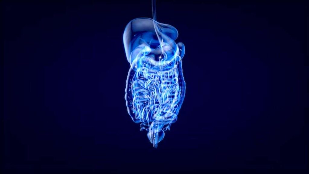 World Digestive Health Day 2025: 5 daily habits that can help improve your gut health
