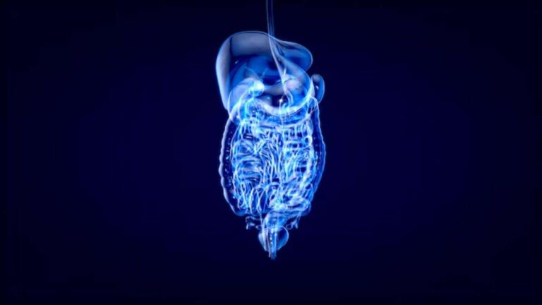World Digestive Health Day 2025: 5 daily habits that can help improve your gut health