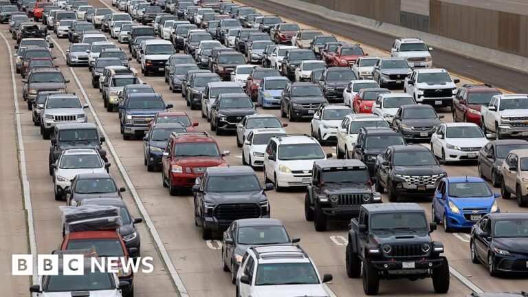 Congress moves to block California ban on petrol