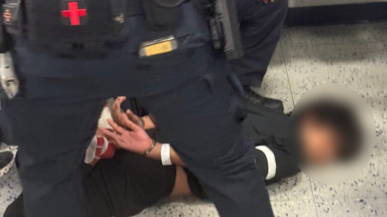 Viral video: Indian student pinned to ground at US airport, handcuffed, deported