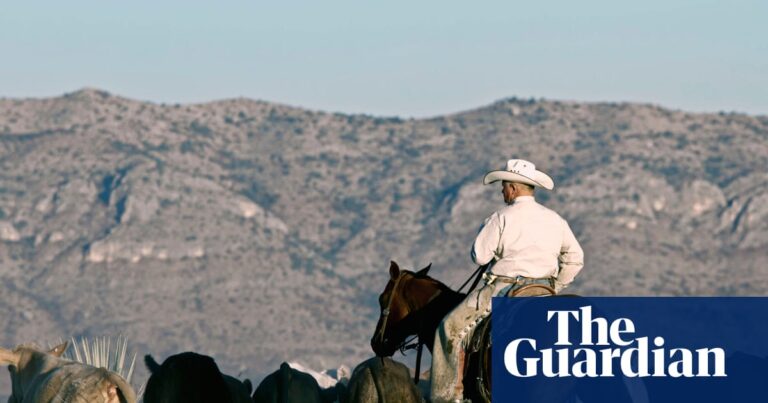 Australia lifts ban on US beef but denies decision was made to appease Trump