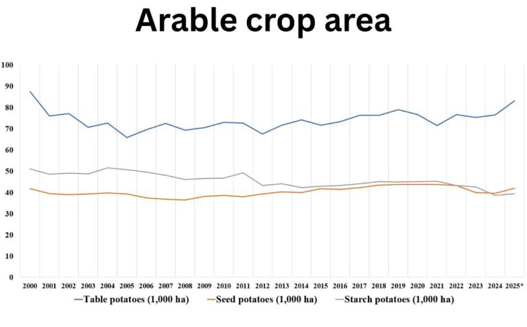 Area for Potato Cultivation in The Netherlands reaches New Heights in 2025