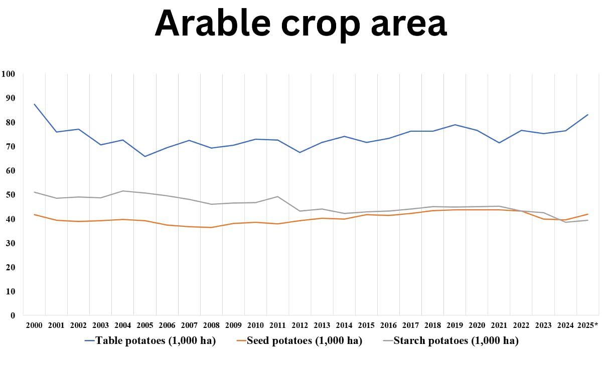 Area for Potato Cultivation in The Netherlands reaches New Heights in 2025