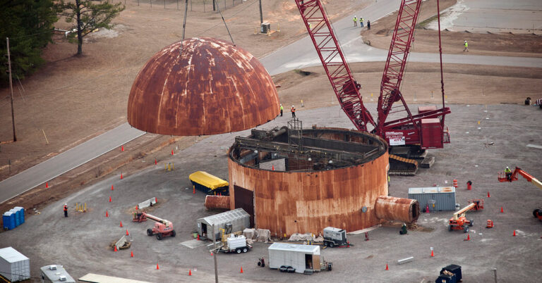 Radioactive Wasps Found at Nuclear Site in South Carolina Could Be a ‘Red Flag,’ Expert Says