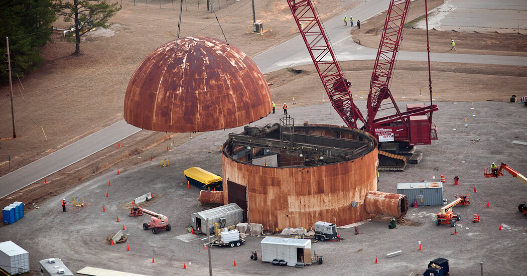 Radioactive Wasps Found at Nuclear Site in South Carolina Could Be a ‘Red Flag,’ Expert Says