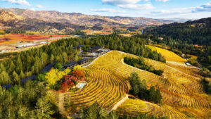 Rosewood hotel coming to California's wine country