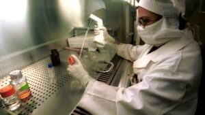 U.S. pharma tariffs spare India’s generic drugmakers — but leave investors jittery