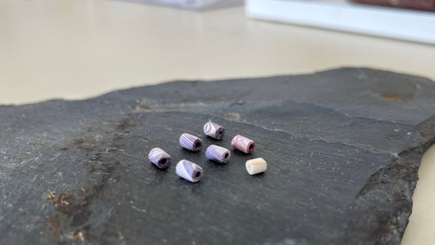 ‘Extremely unusual’ discovery of wampum beads in Ferryland believed to be province’s first