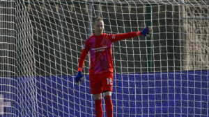 Victory for France and the Netherlands - Juventus