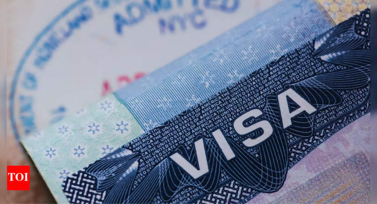 US B1/B2 visa wait time for Indians: Chennai sees relief, Delhi hits longest delays